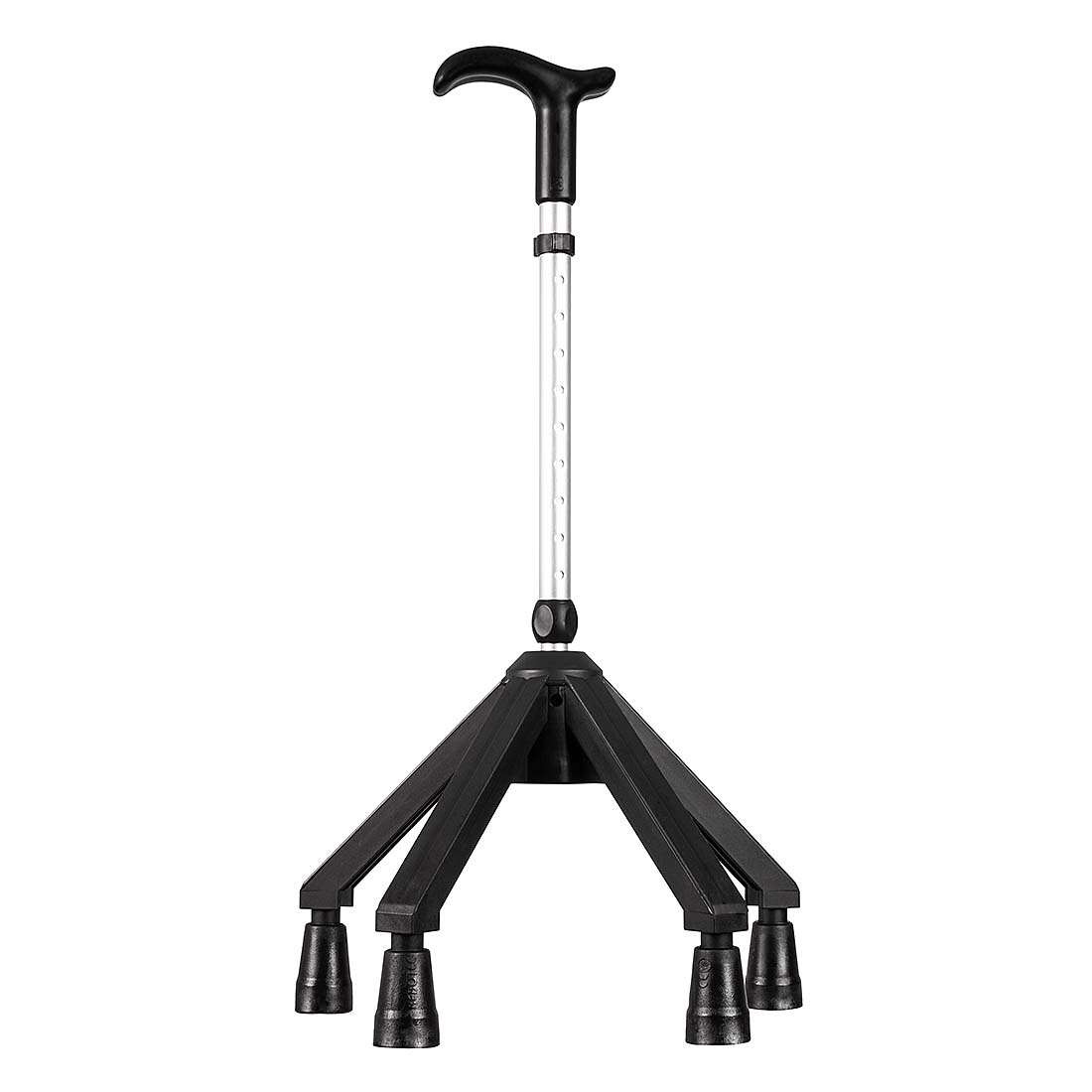 Walking Sticks